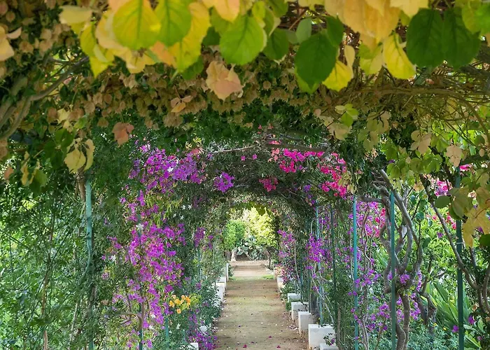 Il Giardino Ritrovato * Marsala